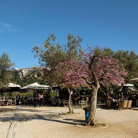 Athens Blossom House Under Acropolis With Private Entrance Dış mekan fotoğraf